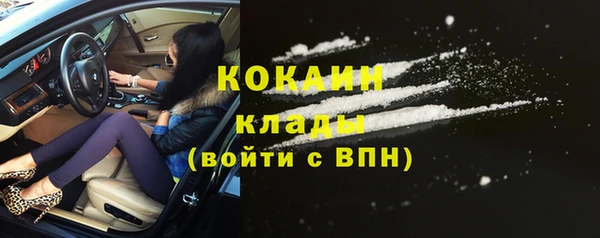 стафф Богородицк