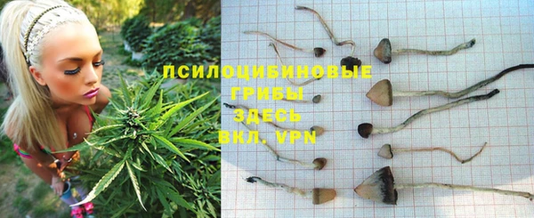 меф Богородск