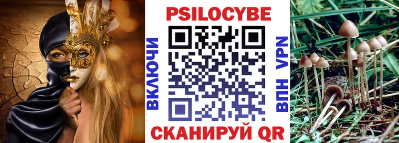 где купить наркоту Гатчина Псилоцибиновые грибы Psilocybe